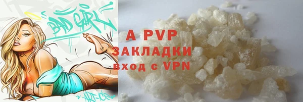 ГАЛЛЮЦИНОГЕННЫЕ ГРИБЫ Белокуриха