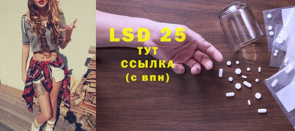 ГАЛЛЮЦИНОГЕННЫЕ ГРИБЫ Белокуриха