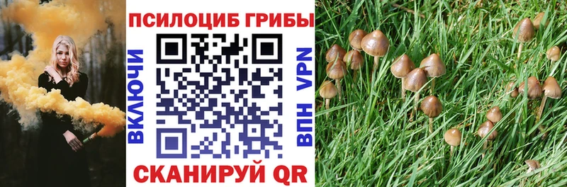 Галлюциногенные грибы мухоморы Верхняя Пышма